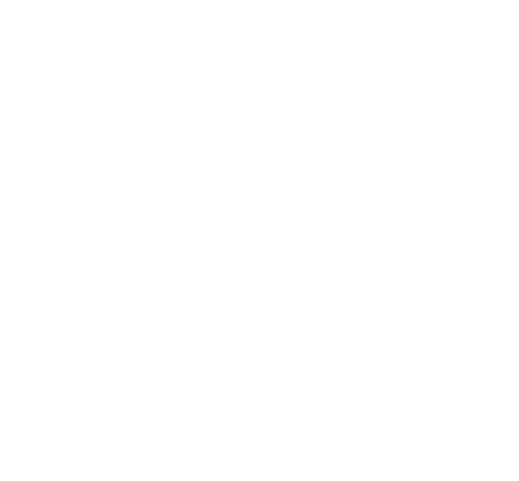 NV2030 Beyond the YCC